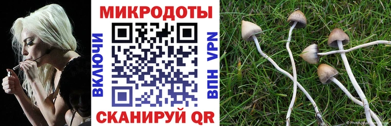гидра ONION Южа Галлюциногенные грибы мухоморы